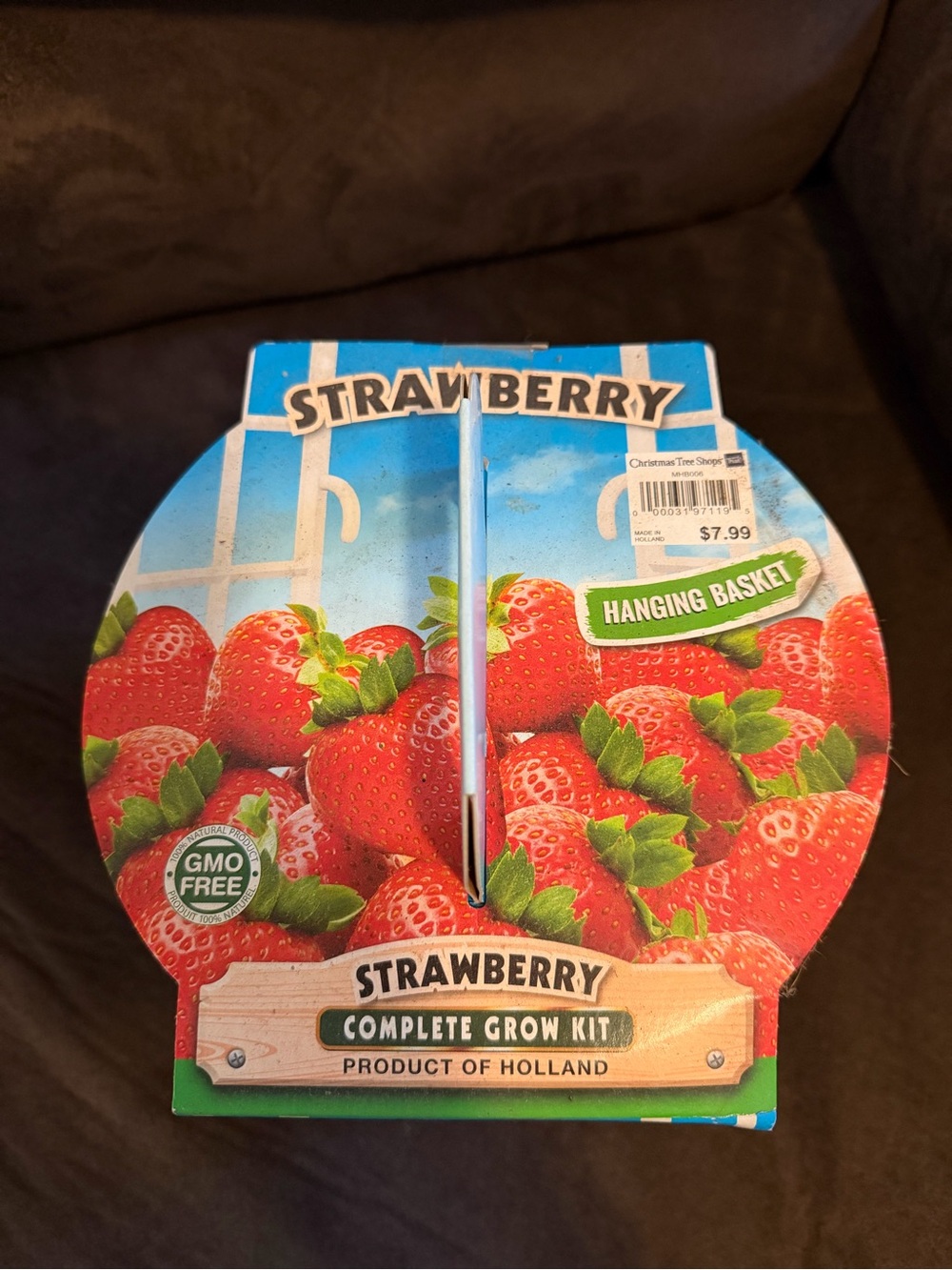Strawberry Hanging Basket Complete Grow Kit